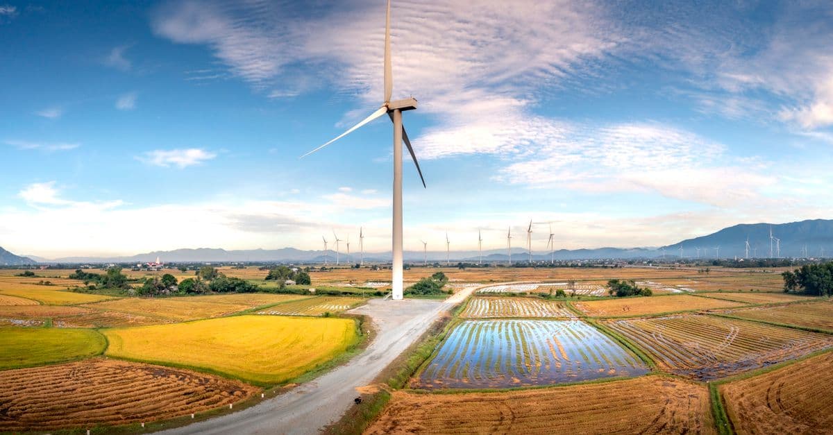 Panoramic view of wind turbines in Vietnam over golden rice fields and mountains, highlighting renewable energy.
