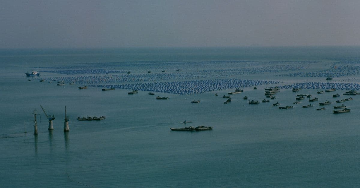 Aerial shot of multiple fishing boats and structures in a vast open sea, depicting a serene marine landscape.
