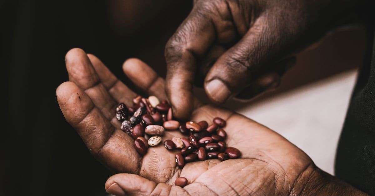 A detailed close-up of hands holding a variety of colorful beans, highlighting texture and diversity.