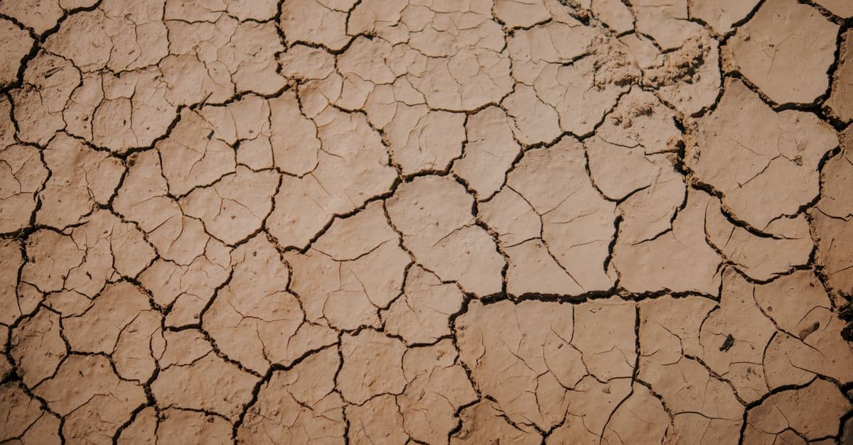 An image showcasing dry, cracked earth representing drought and climate change effects.