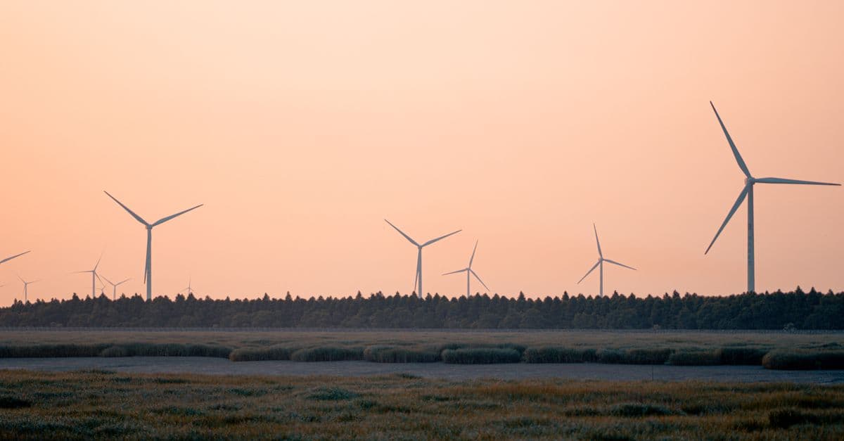 A serene view of wind turbines during sunset, highlighting renewable energy in a tranquil landscape.