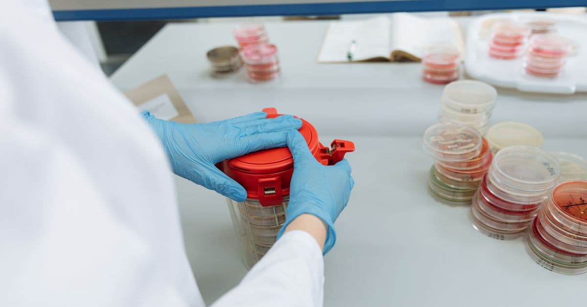 Scientist with gloves handling Petri dishes in a laboratory setting, emphasizing research.