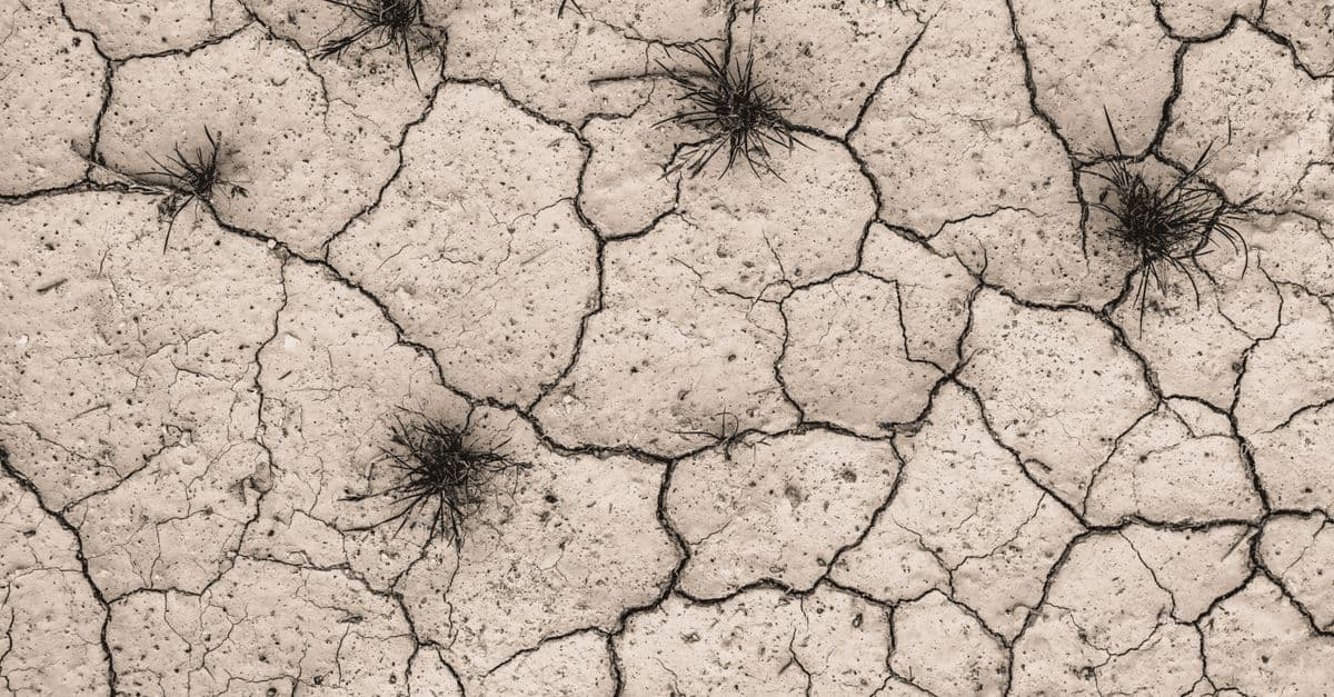 Top view of cracked, arid earth with sparse tufts of grass, showcasing drought effects.