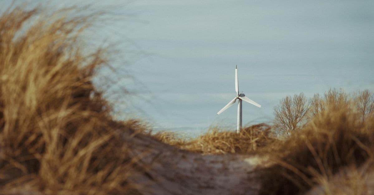 A solitary wind turbine stands tall among sand dunes, framed by grass and trees under a clear sky.