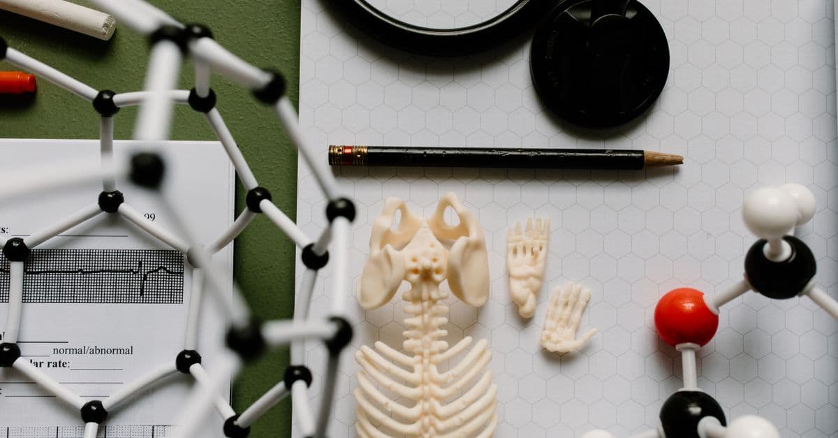 Educational science setup with molecular models, skeletal display, and stethoscope.