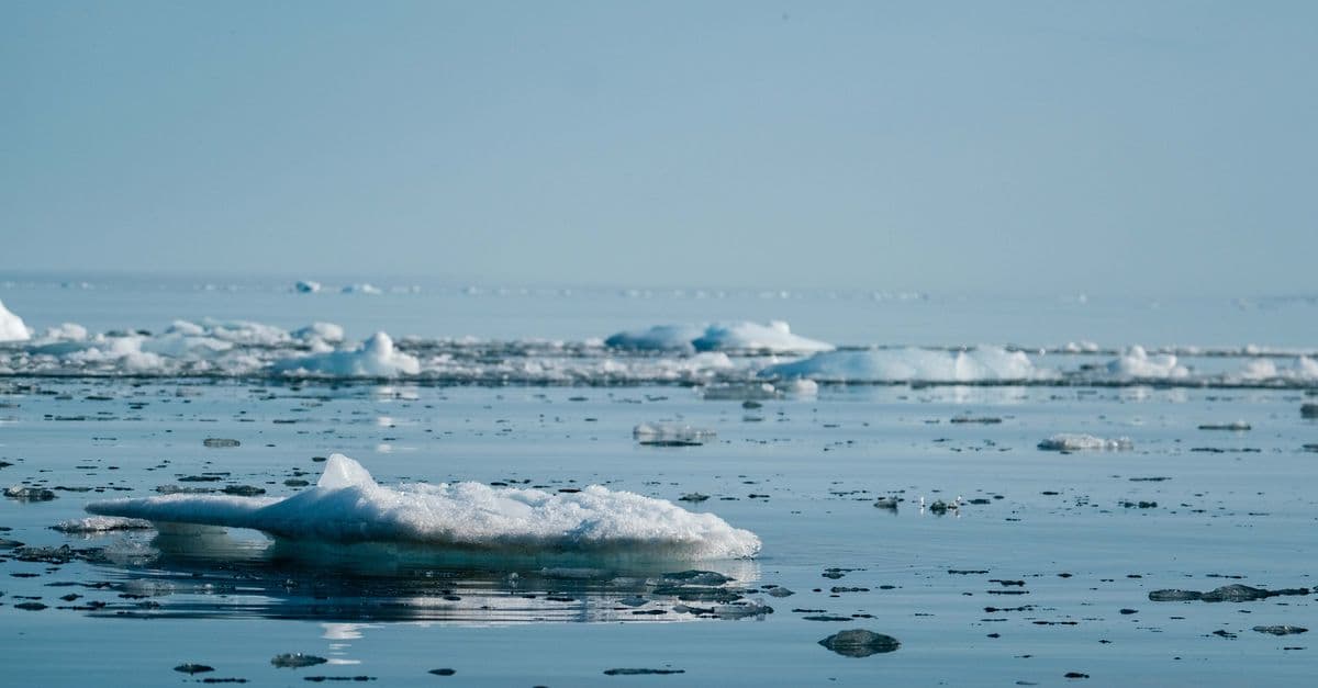Tranquil Arctic ocean scene with icebergs and a clear blue sky, illustrating climate change.
