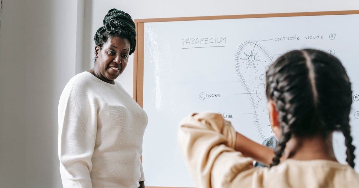 Attentive African American woman standing near whiteboard while explaining scheme to schoolgirl during lesson