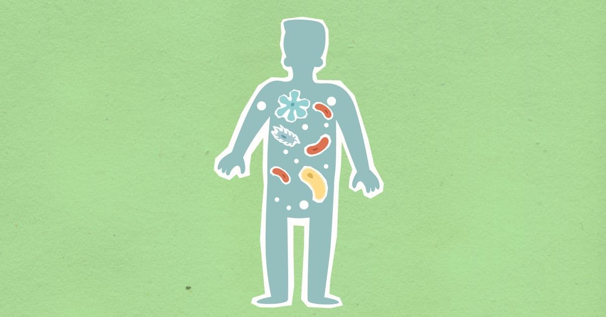 From above of cutout cardboard illustration of person with different bacteria spreading in body on green background