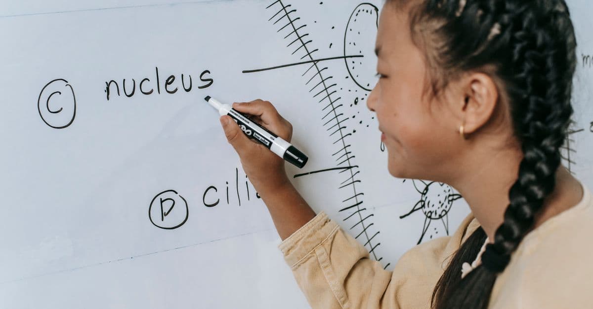 Side view of ethnic teenage writing words on whiteboard and studying biology in classroom
