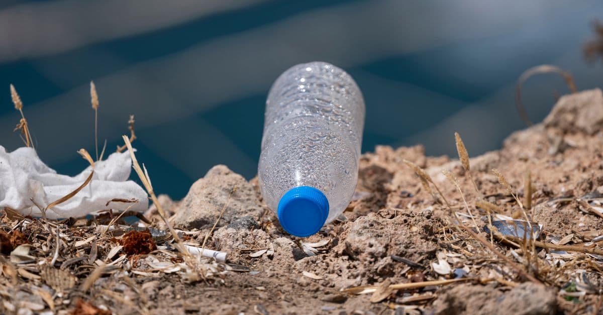 A discarded plastic bottle lies on a natural shoreline, highlighting pollution issues.