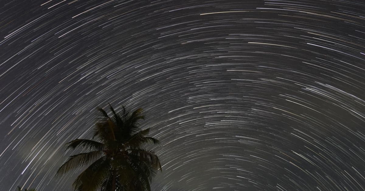 A breathtaking view of star trails swirling above palm trees in a night sky.