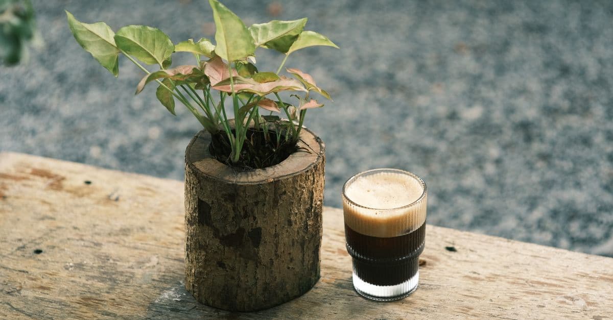 Cozy rustic scene with a wooden planter and a fresh coffee cup on a wooden table.