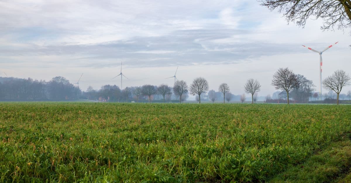 A peaceful rural landscape featuring wind turbines and a green field under a morning sky.