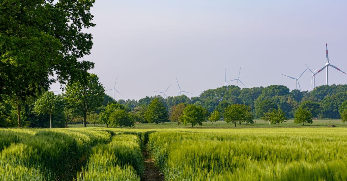 Lush green fields with wind turbines in Coesfeld, NRW, Germany, showcasing renewable energy.
