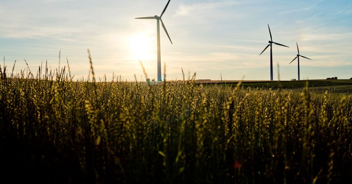 A stunning landscape of wind turbines generating clean energy in a sunlit field.