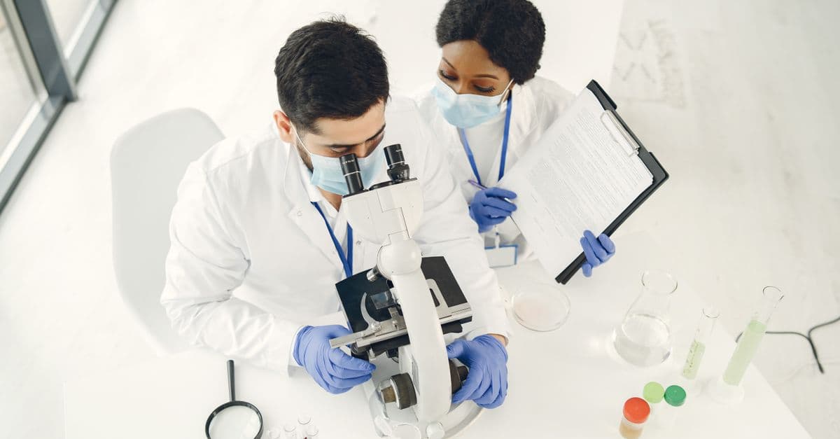 Two scientists examining samples under a microscope, showcasing teamwork in a lab setting.