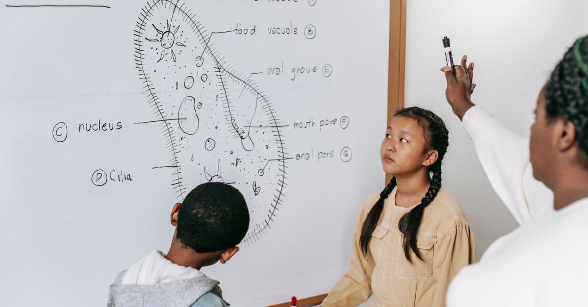 Crop African American woman explaining structure of Ciliate to diverse kids at whiteboard in classroom