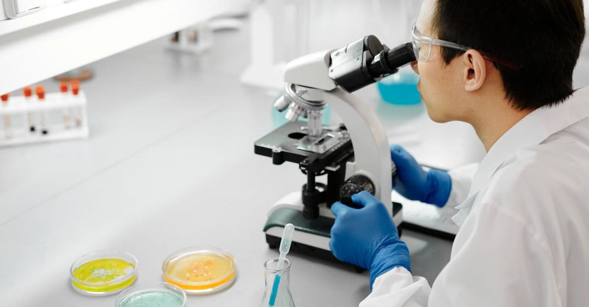 Scientist in laboratory examining samples with a microscope, surrounded by colorful petri dishes.