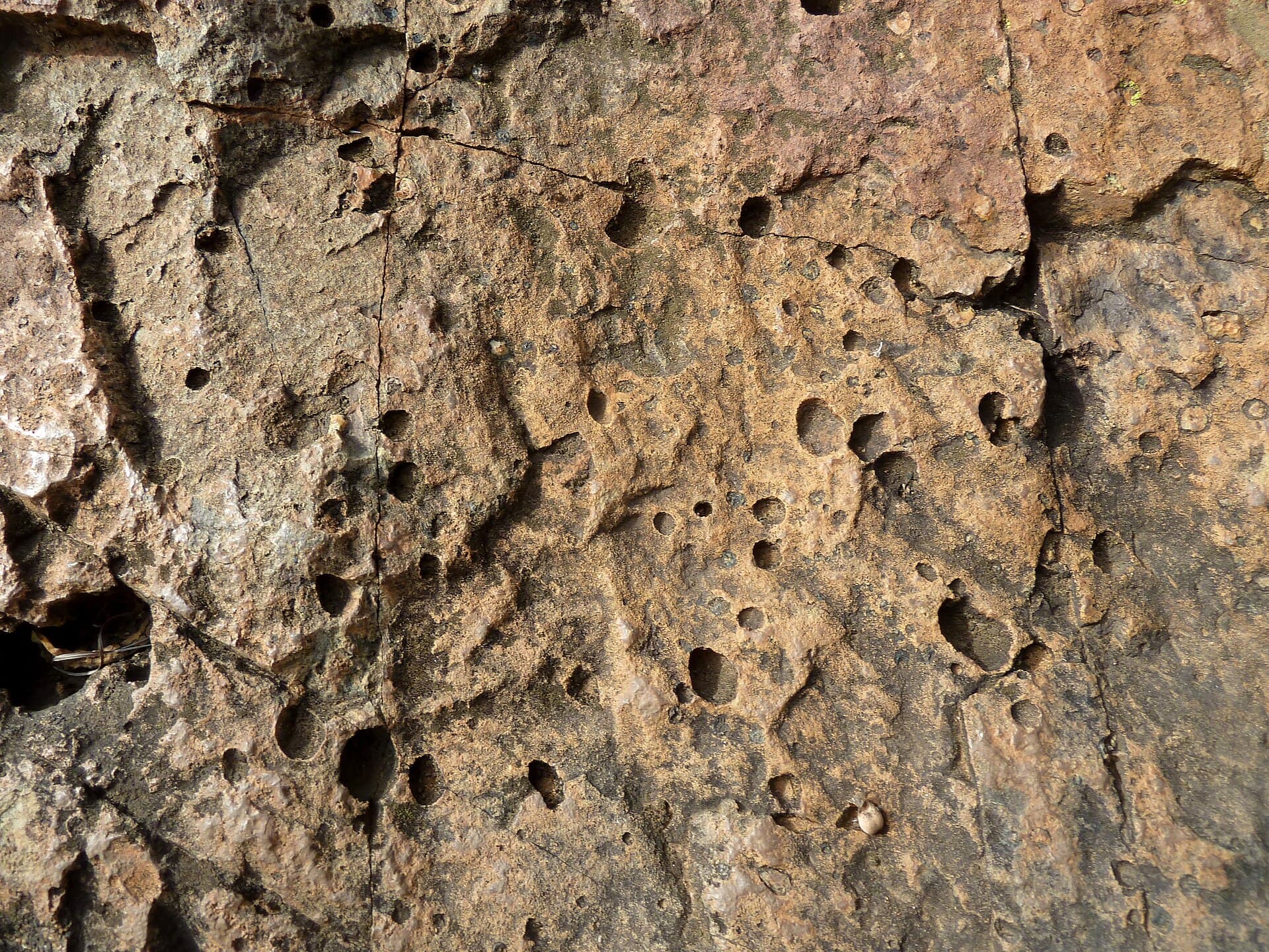A close-up of vesicular basalt rock, a natural mineral context for carbon-mineralization research.