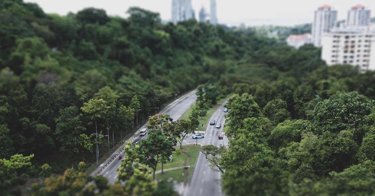A beautiful aerial view of Singapore's green urban landscape featuring highways amidst lush trees.