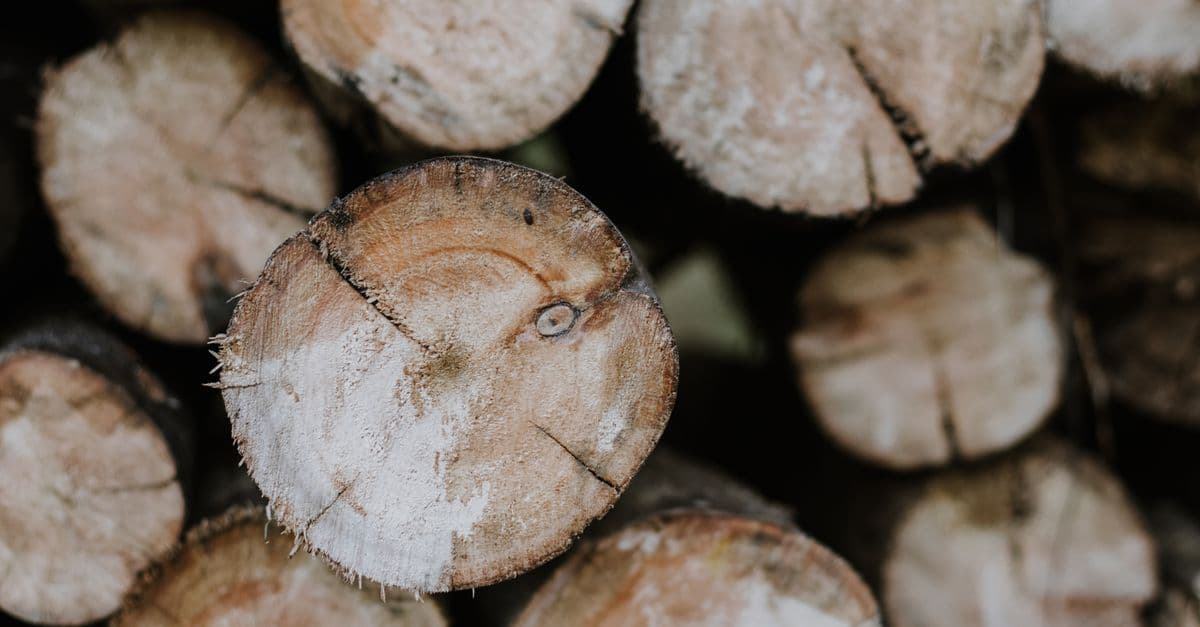 Close-up of stacked brown logs with textured bark, perfect for woodworking projects.