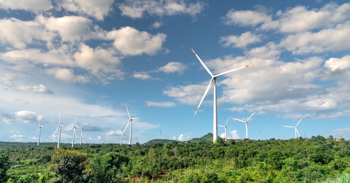 Wind turbines in a lush green landscape under a bright sky, showcasing renewable energy.