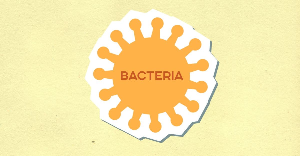 Overhead view of decorative cardboard applique of Bacteria inscription on microbe with uneven edges