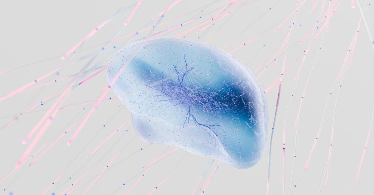 A 3D rendering of a neural network with abstract neuron connections in soft colors.