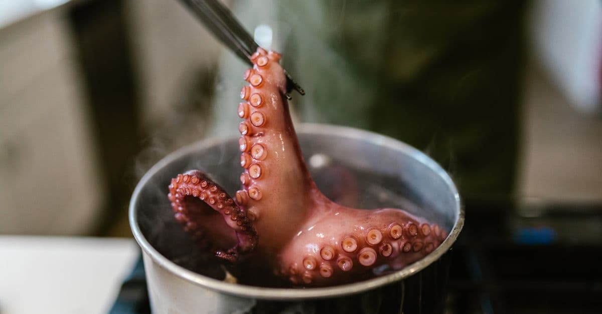 A close-up of an octopus being cooked in a pot on a stove, with steam rising.