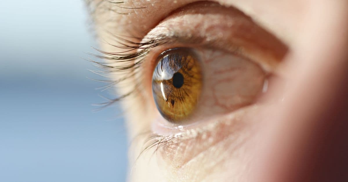 Detailed close-up of a human brown eye showcasing reflections and eyelashes.