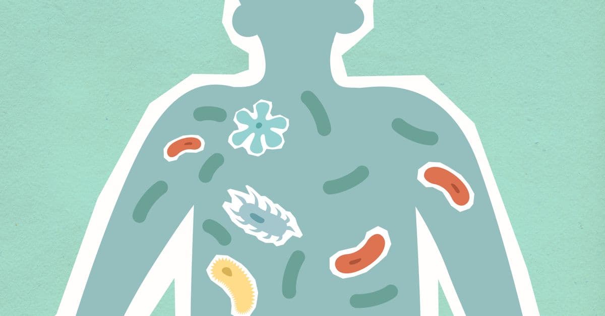 Top view of decorative cardboard appliques of human figure with different bacteria in body on green background