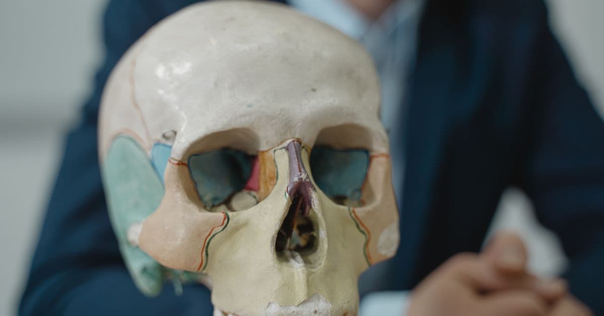 Close-up of a colorful anatomical skull model in a classroom setting, ideal for educational purposes.