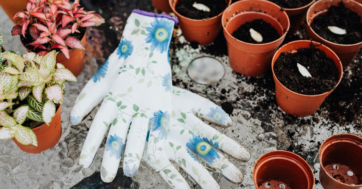 Floral gloves and potted plants on a table, perfect for home gardening inspiration.