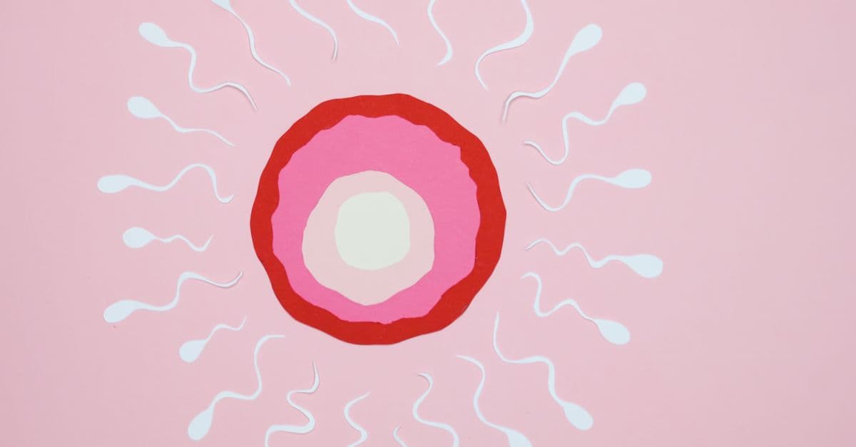 Conceptual art of fertilization with sperm and egg on a pink background.