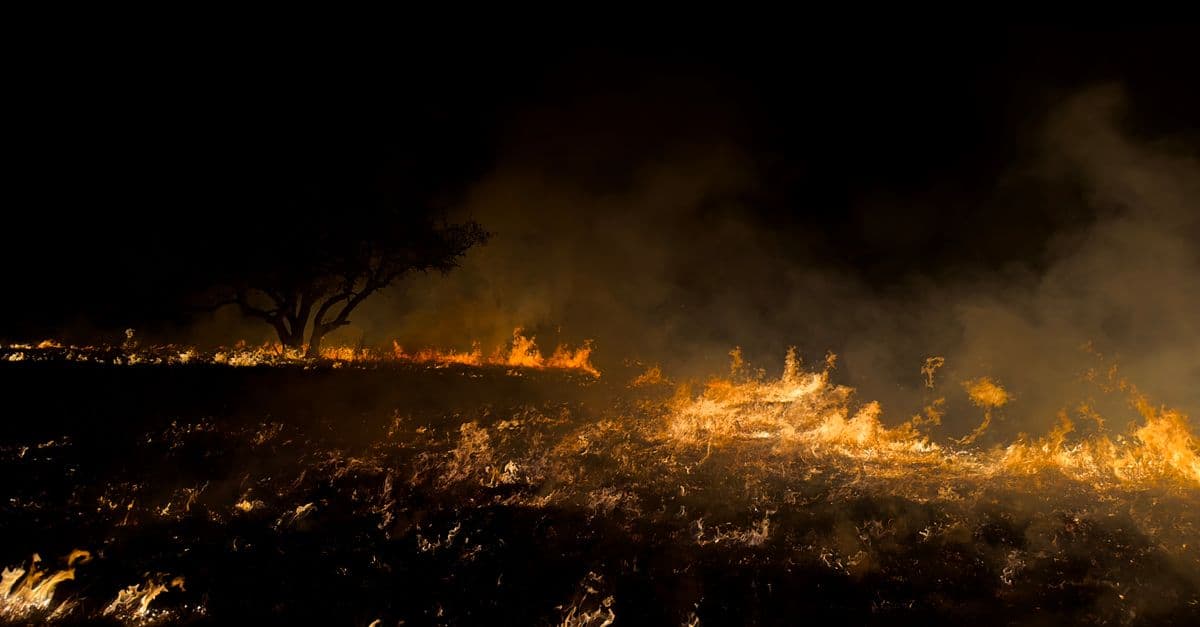 A dramatic field fire captured in Texas, highlighting environmental impact and natural destruction.