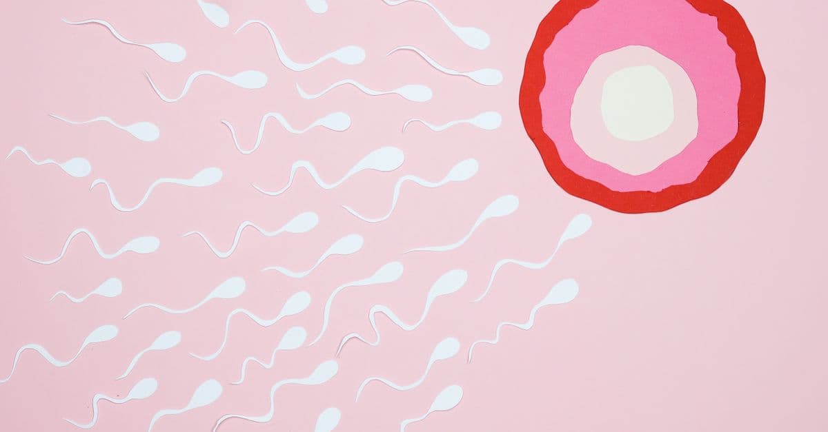 Artistic representation of sperm cells swimming towards an egg on a pink background, illustrating fertilization.