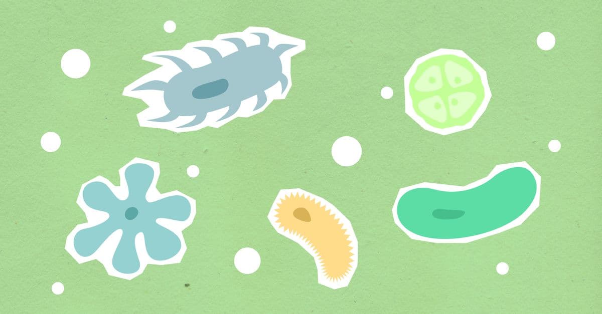 Paper cutout of different shapes and colors contagious types of viruses on green background during disease outbreak