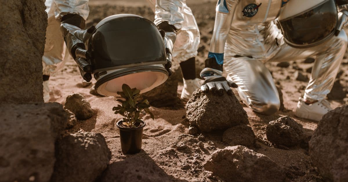 Astronauts observing a plant in rocky Martian-like terrain. Science fiction concept.