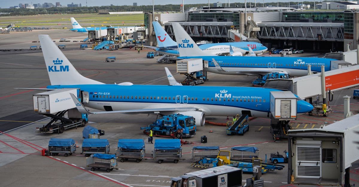 Multiple KLM aircraft at Amsterdam Schiphol Airport terminal with blue ground support equipment.
