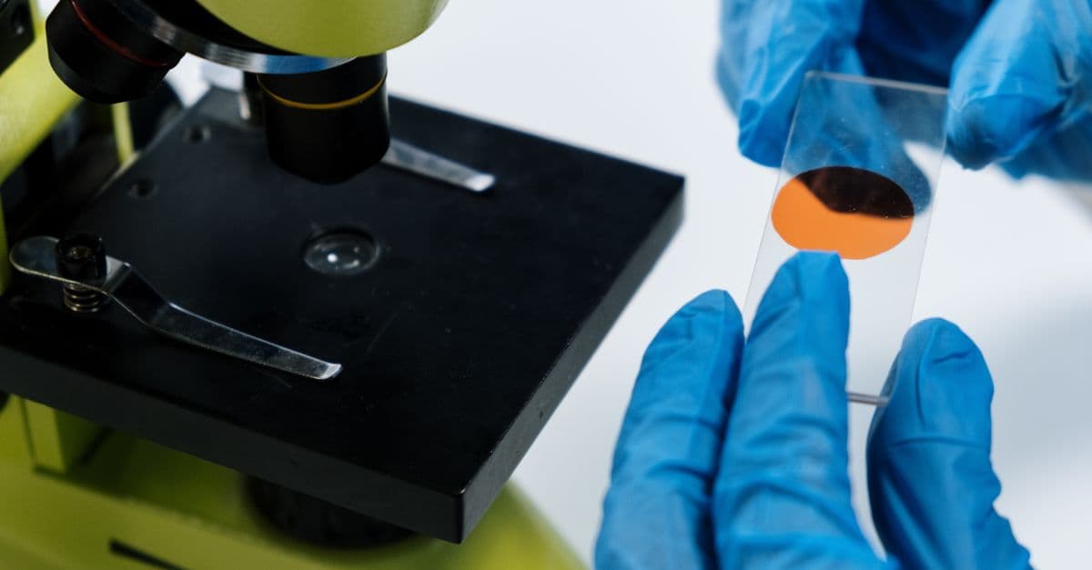 Close-up of a scientist handling a microscope slide with blue latex gloves, preparing for analysis.