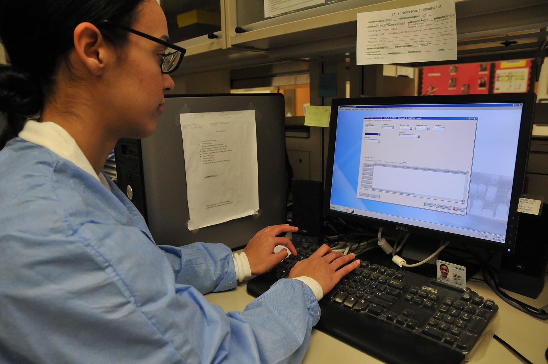 A medical laboratory specialist entering and organizing biological sample data for analysis.
