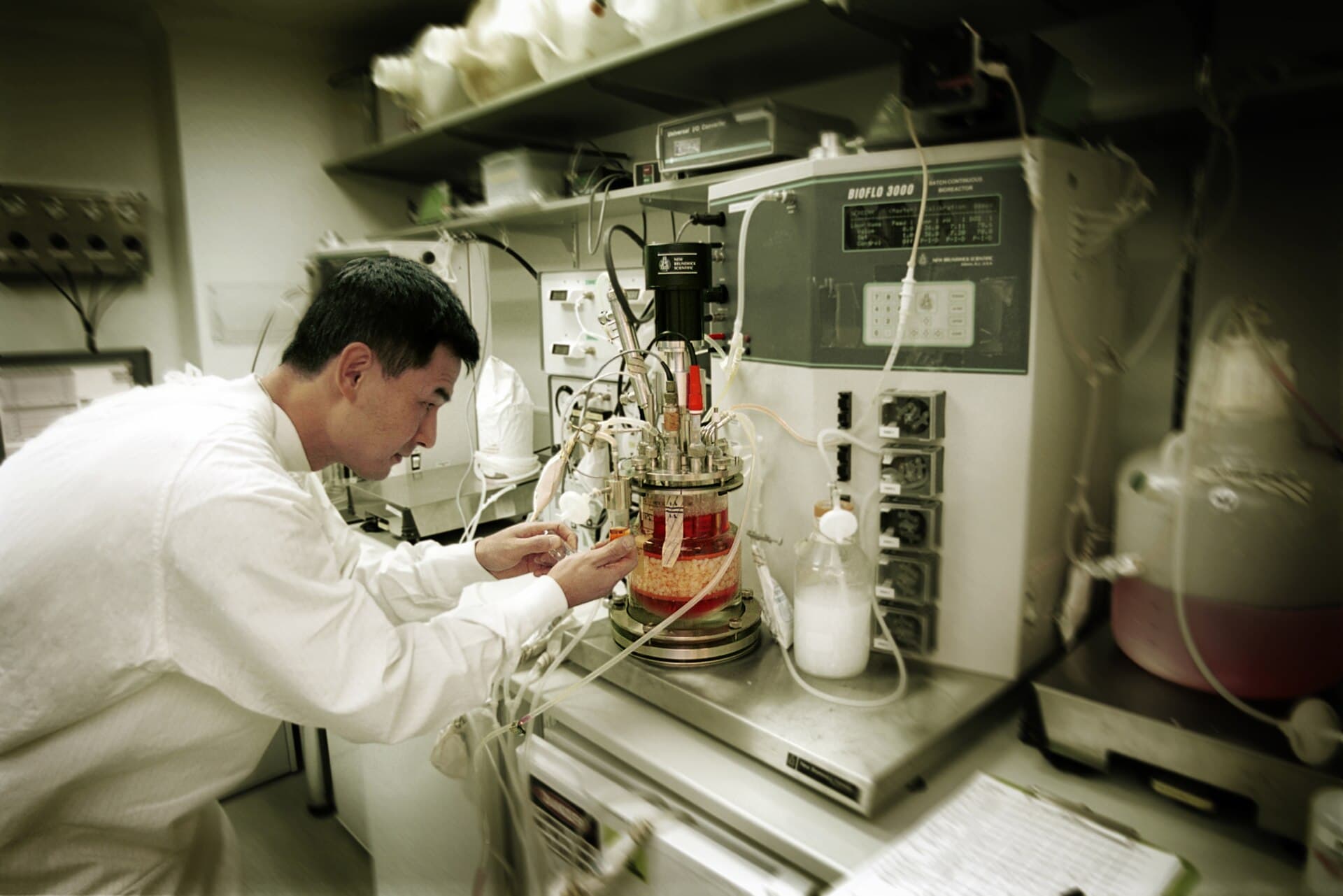 A researcher monitoring mammalian cell growth in a laboratory, representing cancer-immunology research.