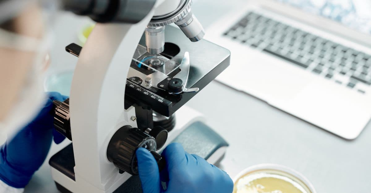 Researcher analyzing biological samples under a microscope in a laboratory.