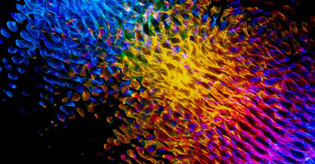 Colorful abstract light patterns creating a vibrant wave-like texture against a black background.