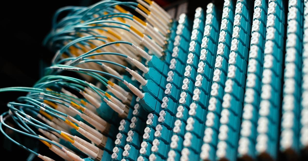 From below of long thin identical blue cables connected to small round electrical connectors