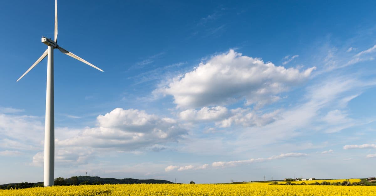 A wind turbine standing in a bright yellow rapeseed field on a sunny day in Höxter, Germany.