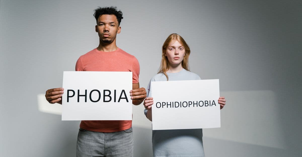 Portrait of people holding signs about phobias and ophidiophobia.