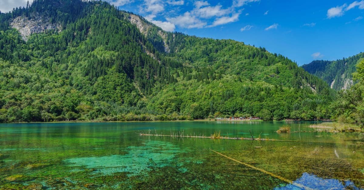 Breathtaking view of Jiuzhaigou Valley's lush mountains and crystal-clear lake.