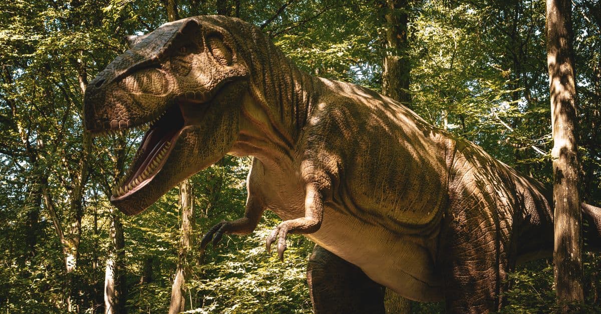 A life-sized dinosaur model stands in a sunlit, dense forest, creating a prehistoric atmosphere.