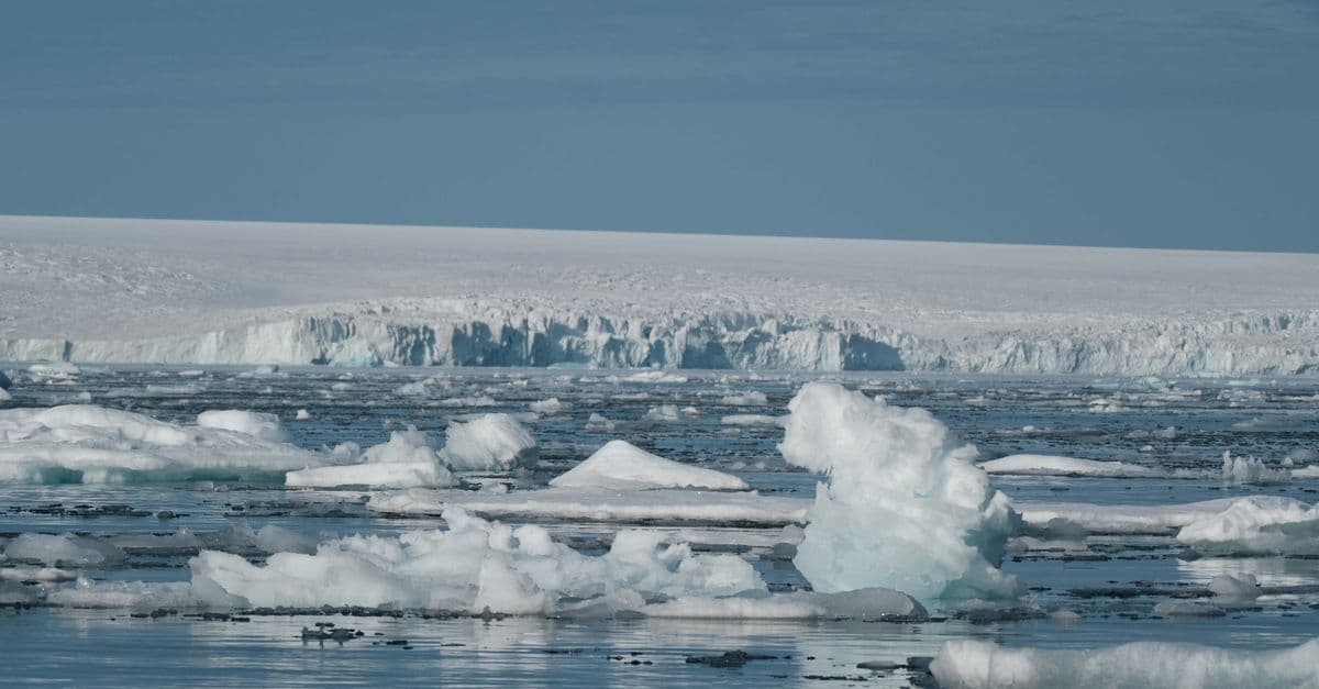 Tranquil scene of drifting icebergs in the Arctic under a clear sky, capturing serene beauty.